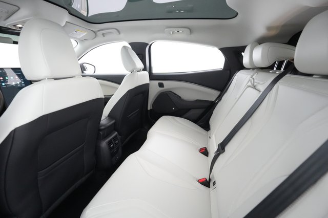 2021 Ford Mustang Mach-E — photo 18 of 30