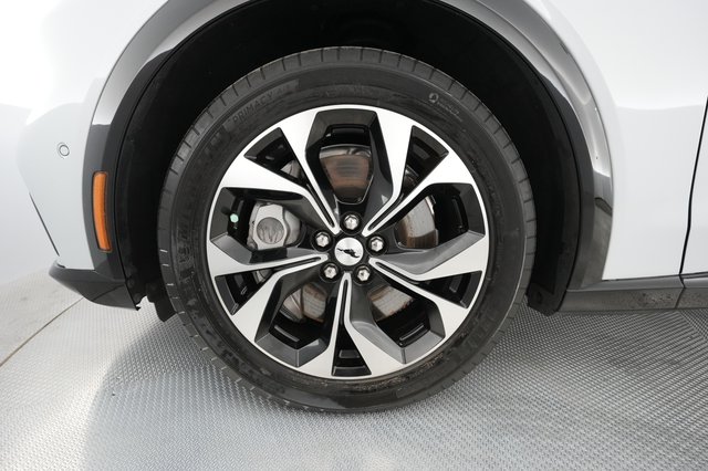 2021 Ford Mustang Mach-E — photo 13 of 30