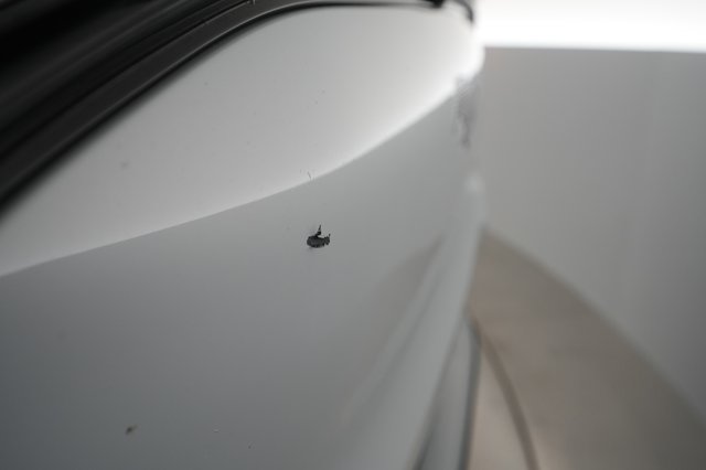 2021 Ford Mustang Mach-E — photo 28 of 30