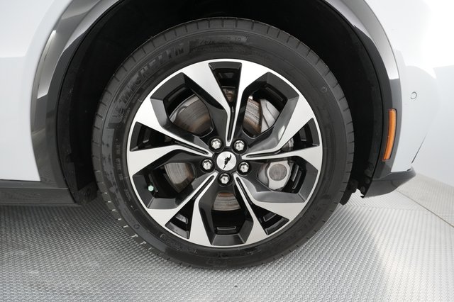 2021 Ford Mustang Mach-E — photo 15 of 30