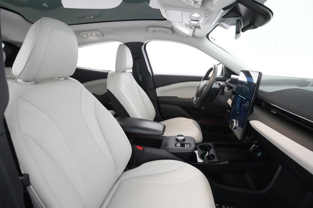 2021 Ford Mustang Mach-E — photo 19 of 30