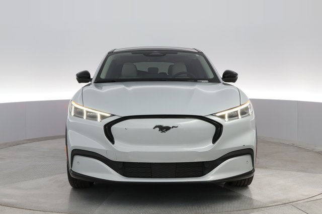 2021 Ford Mustang Mach-E — photo 6 of 30