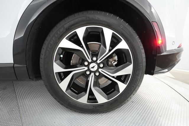 2021 Ford Mustang Mach-E — photo 14 of 30