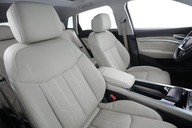 2019 Audi e-tron — photo 18 of 23