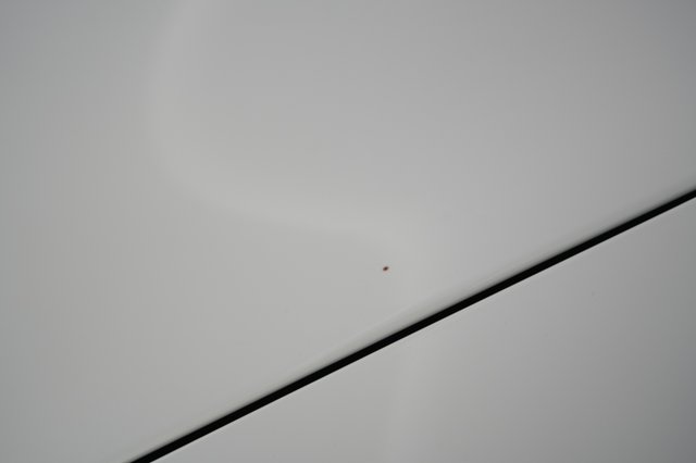 2021 Porsche Taycan — photo 24 of 29