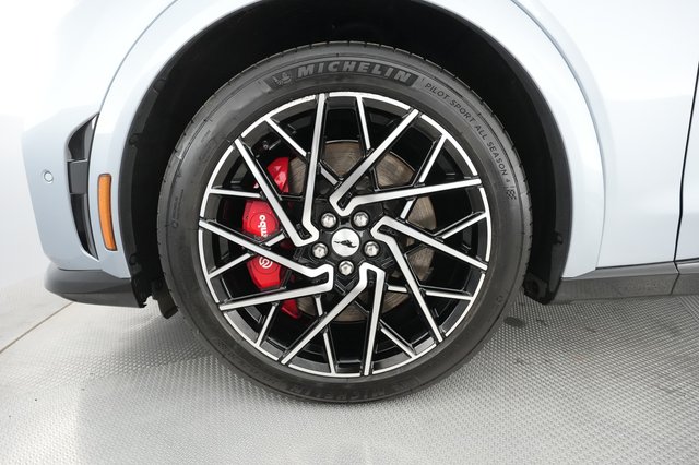2022 Ford Mustang Mach-E — photo 11 of 29
