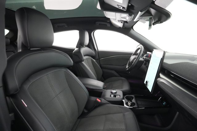 2022 Ford Mustang Mach-E — photo 17 of 29