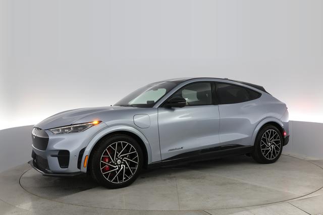 2022 Ford Mustang Mach-E — photo 10 of 29