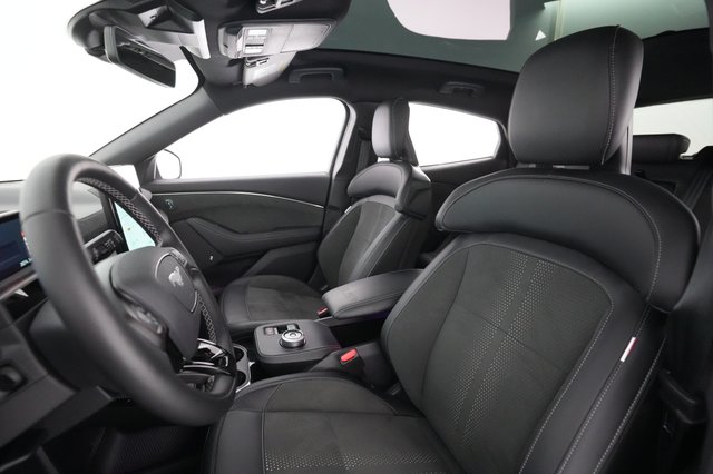 2022 Ford Mustang Mach-E — photo 15 of 29