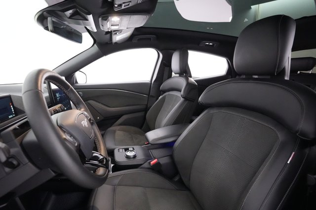 2021 Ford Mustang Mach-E — photo 15 of 23