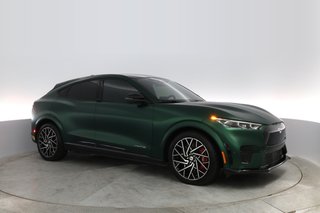 2021 Ford Mustang Mach-E — photo 7 of 23