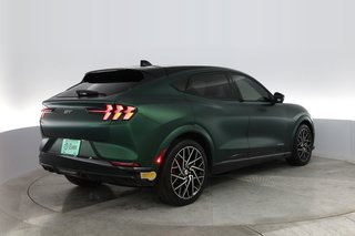 2021 Ford Mustang Mach-E — photo 2 of 23