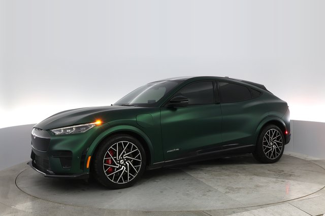 2021 Ford Mustang Mach-E — photo 10 of 23