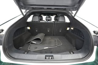2021 Ford Mustang Mach-E — photo 21 of 23