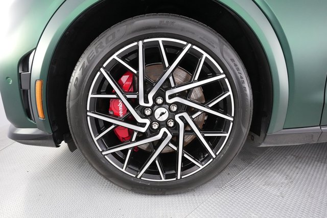 2021 Ford Mustang Mach-E — photo 11 of 23