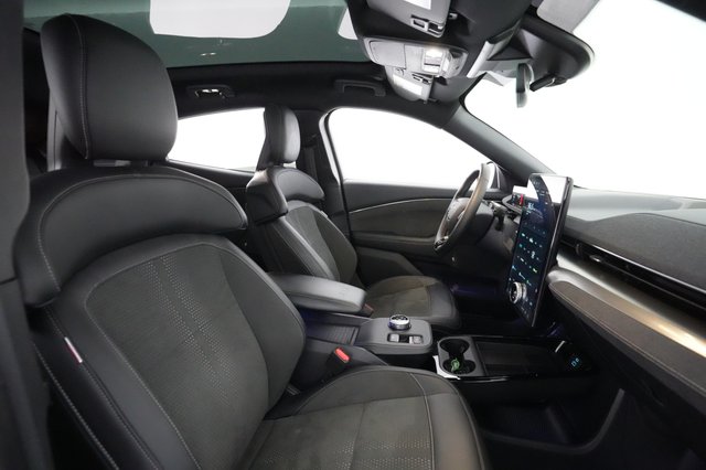 2021 Ford Mustang Mach-E — photo 17 of 23