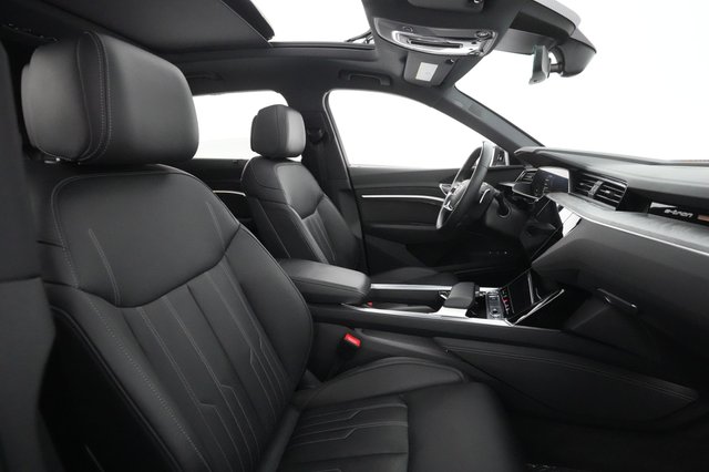 2019 Audi e-tron — photo 20 of 29