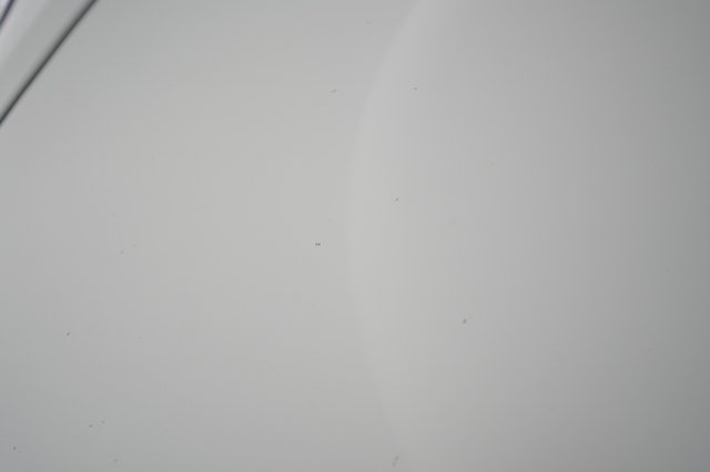2021 Tesla Model 3 — photo 56 of 73