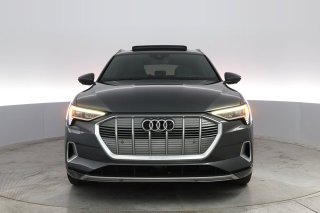 2019 Audi e-tron — photo 5 of 31