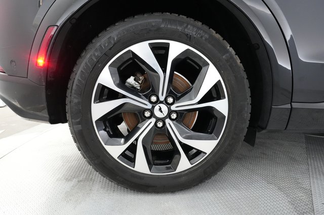 2022 Ford Mustang Mach-E — photo 13 of 36