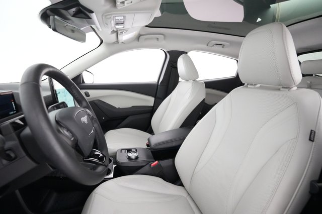2022 Ford Mustang Mach-E — photo 14 of 36