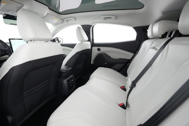 2022 Ford Mustang Mach-E — photo 15 of 36