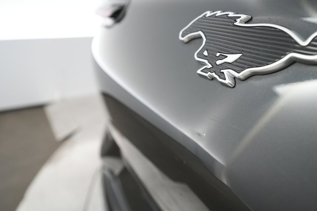 2022 Ford Mustang Mach-E — photo 21 of 36
