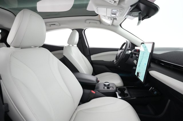 2022 Ford Mustang Mach-E — photo 16 of 36