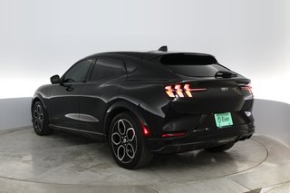 2022 Ford Mustang Mach-E — photo 9 of 38