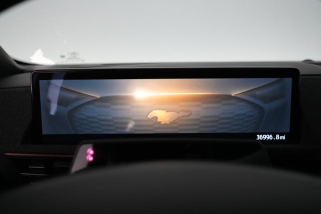 2022 Ford Mustang Mach-E — photo 4 of 38