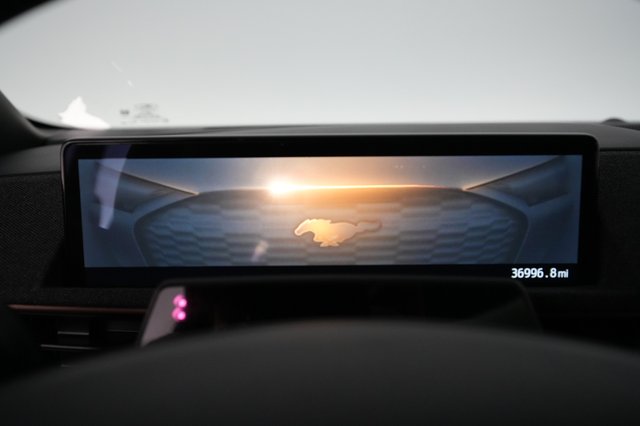 2022 Ford Mustang Mach-E — photo 4 of 38