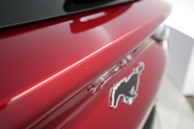2022 Ford Mustang Mach-E — photo 25 of 34