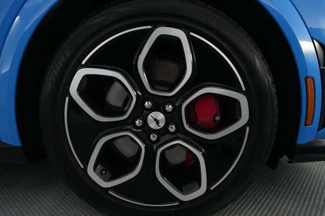 2022 Ford Mustang Mach-E — photo 11 of 22