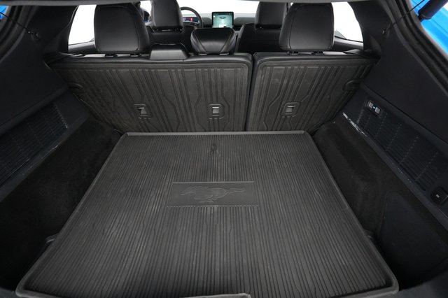 2022 Ford Mustang Mach-E — photo 20 of 22