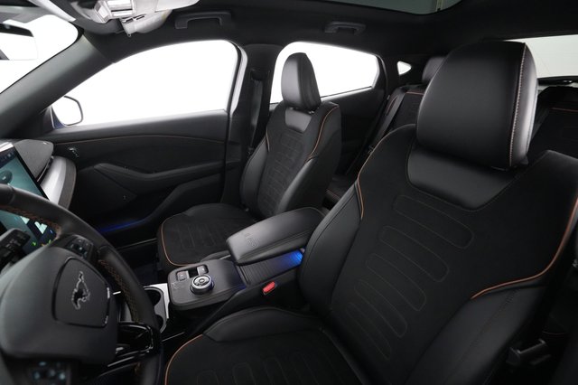 2022 Ford Mustang Mach-E — photo 15 of 22