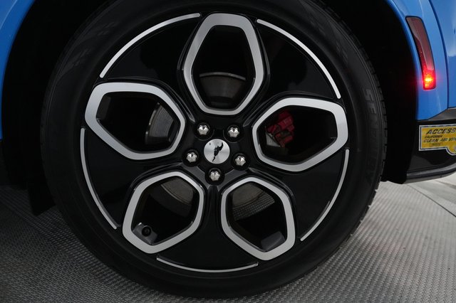 2022 Ford Mustang Mach-E — photo 13 of 22