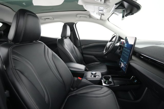 2021 Ford Mustang Mach-E — photo 20 of 27