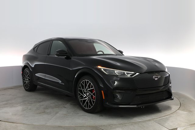 2021 Ford Mustang Mach-E — photo 11 of 24