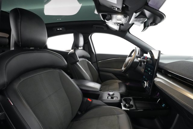 2021 Ford Mustang Mach-E — photo 17 of 24