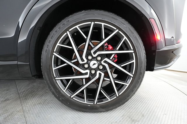2021 Ford Mustang Mach-E — photo 15 of 24