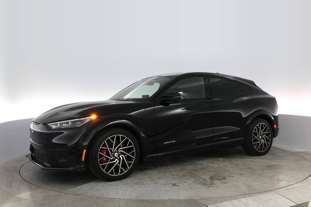 2021 Ford Mustang Mach-E — photo 8 of 24