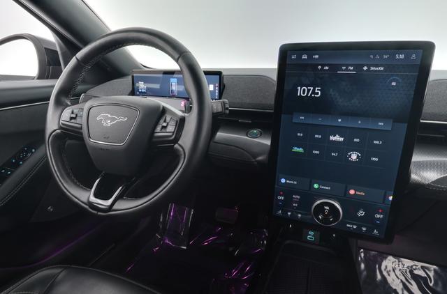 2021 Ford Mustang Mach-E — photo 5 of 24