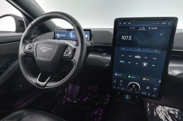 2021 Ford Mustang Mach-E — photo 5 of 24
