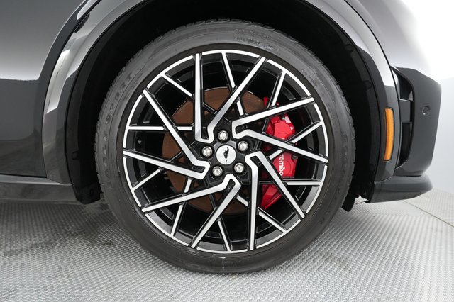 2021 Ford Mustang Mach-E — photo 14 of 24