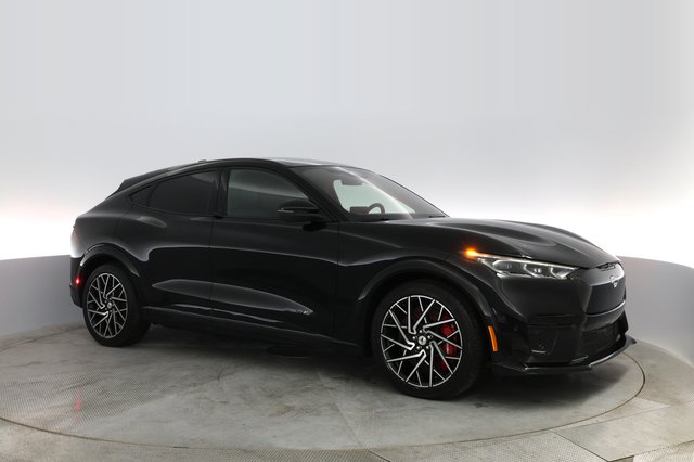 2021 Ford Mustang Mach-E — photo 13 of 24
