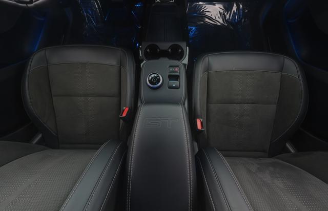 2021 Ford Mustang Mach-E — photo 9 of 11