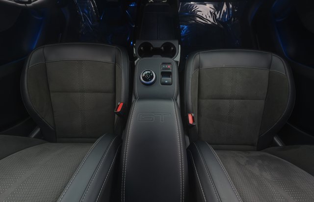 2021 Ford Mustang Mach-E — photo 9 of 11