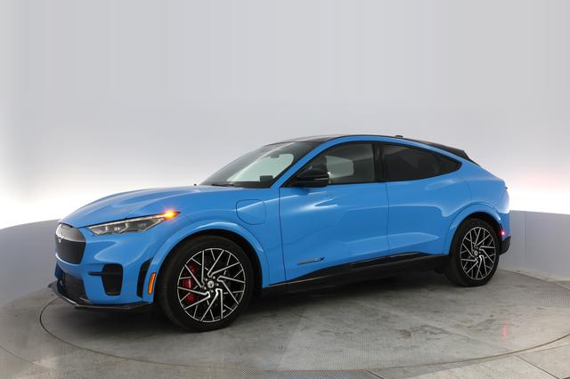 2021 Ford Mustang Mach-E — photo 8 of 11