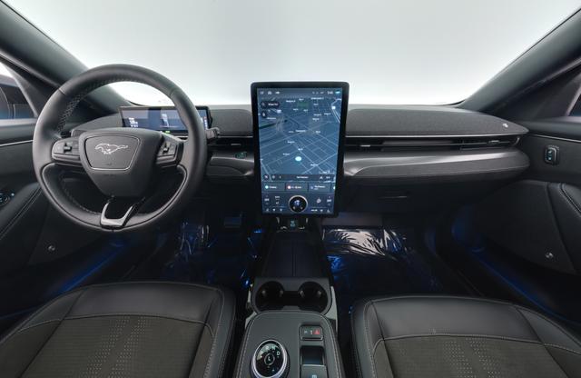 2021 Ford Mustang Mach-E — photo 10 of 11