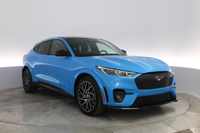 2021 Ford Mustang Mach-E — photo 3 of 11